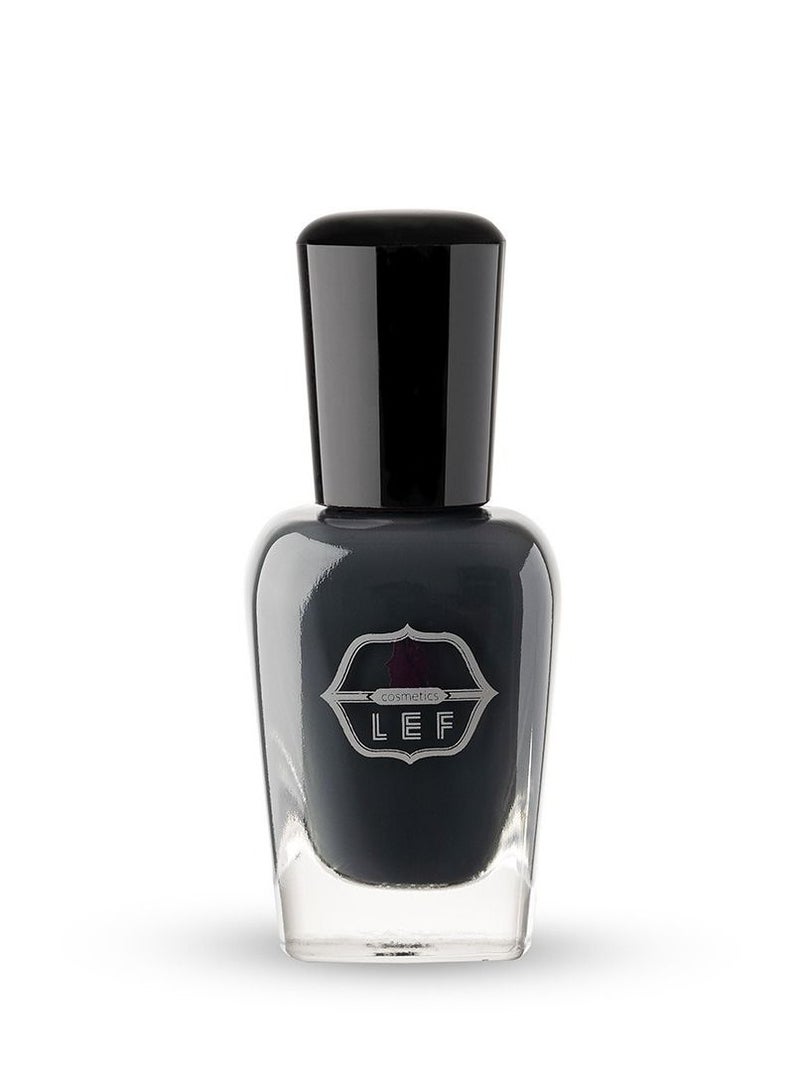 LEF HD Nail Polish Strong and Longwear | COAL 28 - Image 3