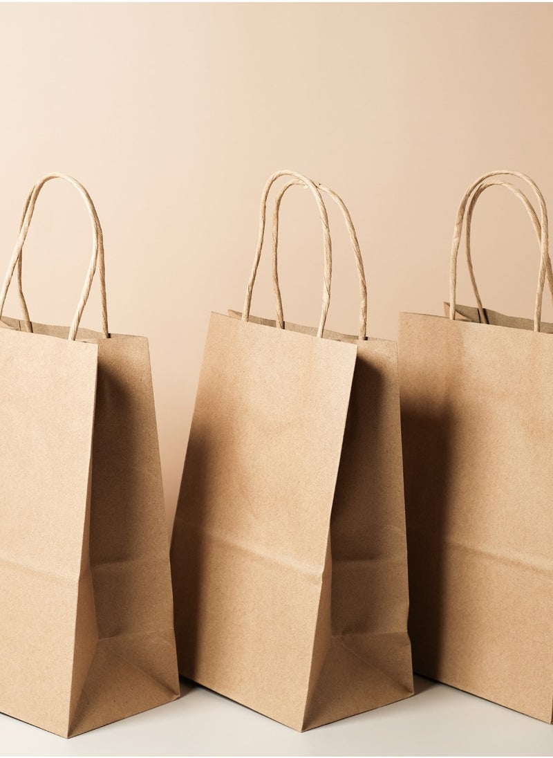 YASHTECH Kraft Paper Bag Brown Twisted Handle 29x29x15cm Pack of 100  - Image 3