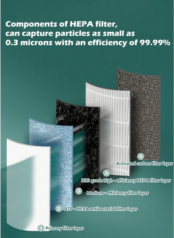 بوليفياز مُنقي هواء منزلي للمكتب والمطبخ حتى 16-24 متر مربع مع مخرج هواء دائري 360 درجة، فلتر HEPA يزيل الفورمالديهايد، البكتيريا، الفيروسات، الدخان، حبوب اللقاح، PM2.5، الغبار، TVOC، معدل تعقيم 99.99%، CADR 163 م³/ساعة، تحكم باللمس أسود وأبيض - Image 5