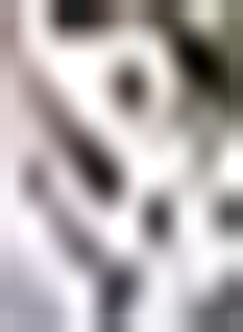 جي جوت 2 قطعة من زهور الأماريليسبولين الوردية Beste keuze voor tuindecoratie niet veel Zorg nodig geschikt للمبتدئين geurig en charmant - Image 2