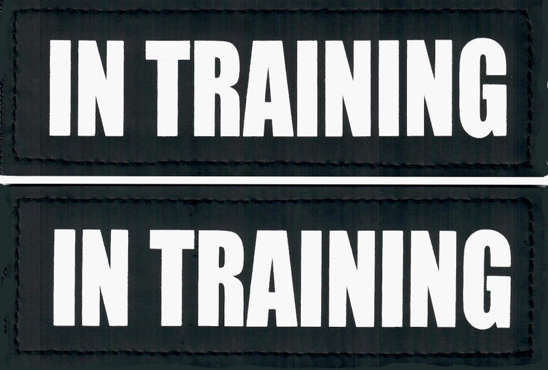 Just 4 Paws Reflective Patches Hook BackingService Dog Emotional Support Therapy Dog in Training Do Not Pet Best Friend for Animal Vest Harnesses in Training S 1 X 412