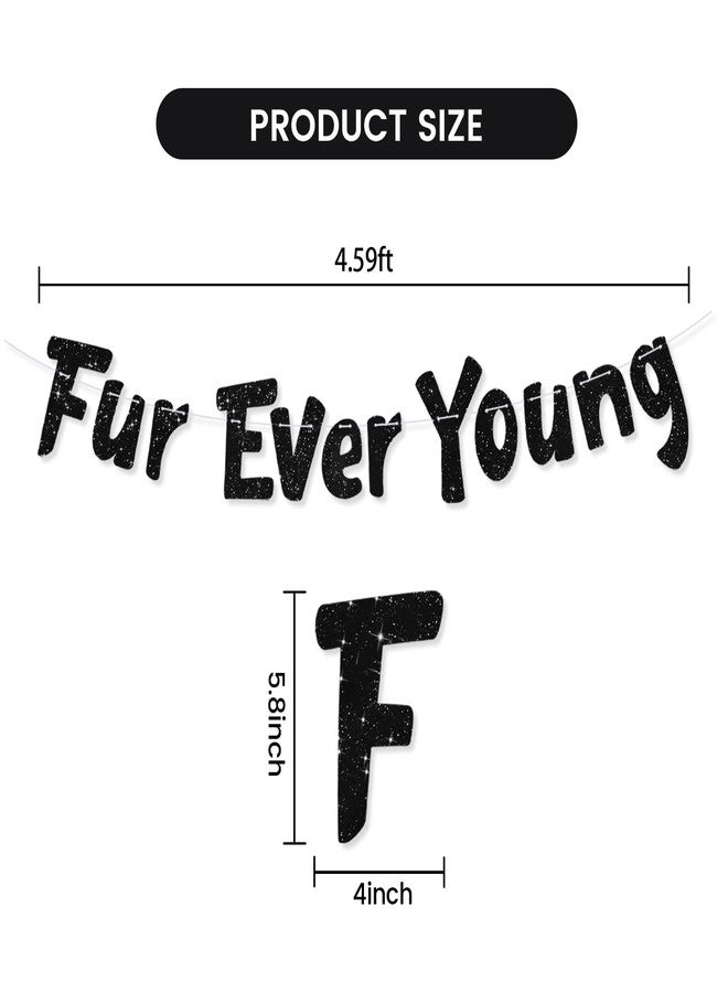 بيشيدا لافتة BEISHIDA السوداء اللامعة Furever Young، لا تحتاج إلى صنعها بنفسك، لافتة زينة لأعياد ميلاد الكلاب/القطط، لوازم حفلات مضحكة للجراء والقطط الصغيرة - Image 3