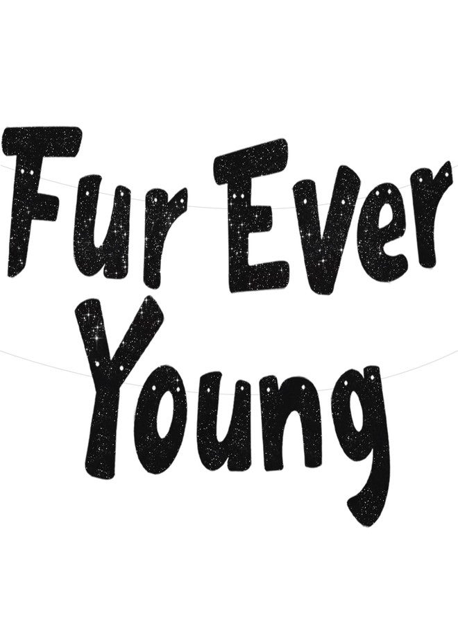 بيشيدا لافتة BEISHIDA السوداء اللامعة Furever Young، لا تحتاج إلى صنعها بنفسك، لافتة زينة لأعياد ميلاد الكلاب/القطط، لوازم حفلات مضحكة للجراء والقطط الصغيرة - Image 1