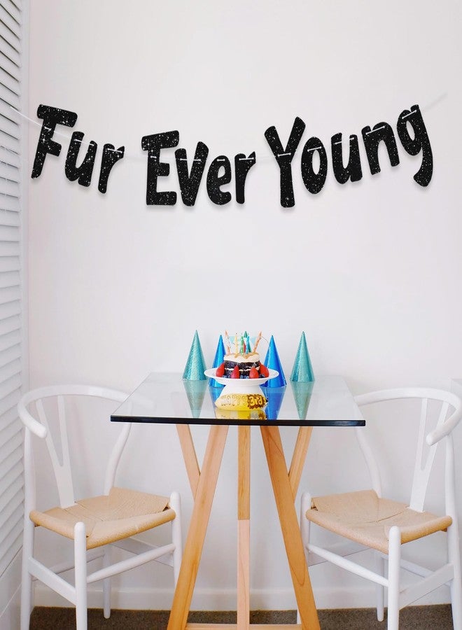 بيشيدا لافتة BEISHIDA السوداء اللامعة Furever Young، لا تحتاج إلى صنعها بنفسك، لافتة زينة لأعياد ميلاد الكلاب/القطط، لوازم حفلات مضحكة للجراء والقطط الصغيرة - Image 4