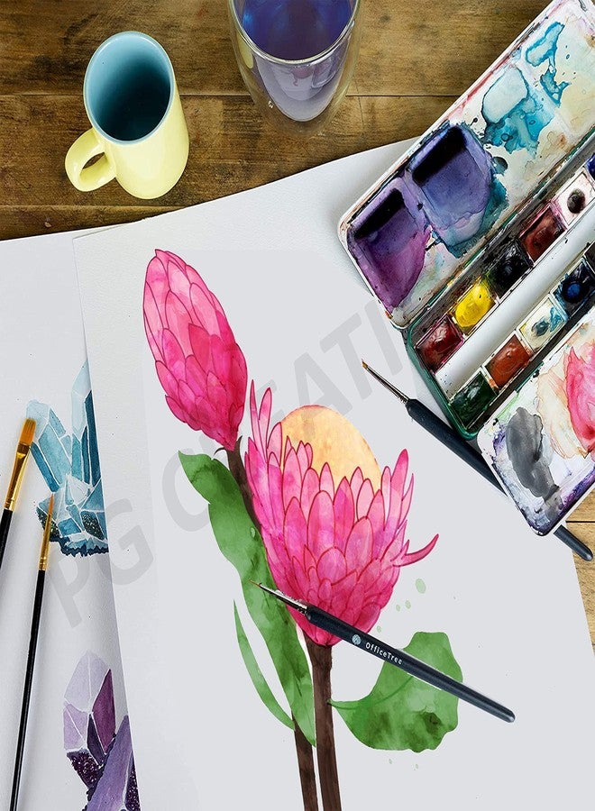 PG Creations ورق رسم PG Creations، 20 ورقة، مقاس A2، لون عاجي، وزن 225 جرام/متر مربع، سطح أملس، مناسب للهندسة المعمارية، وحقائب الأعمال الفنية، ومشاريع الأعمال اليدوية، مقاس 16.5 × 23.4 بوصة، أبيض - Image 5