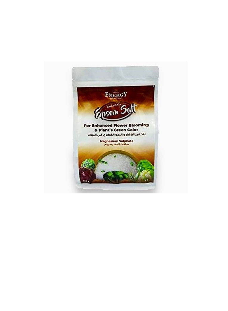 ديزيرت إنرجي ملح ابسوم من ديزرت انرجي 1 كجم - Image 2