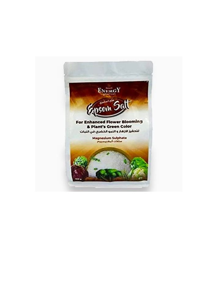 ديزيرت إنرجي ملح ابسوم من ديزرت انرجي 1 كجم - Image 1