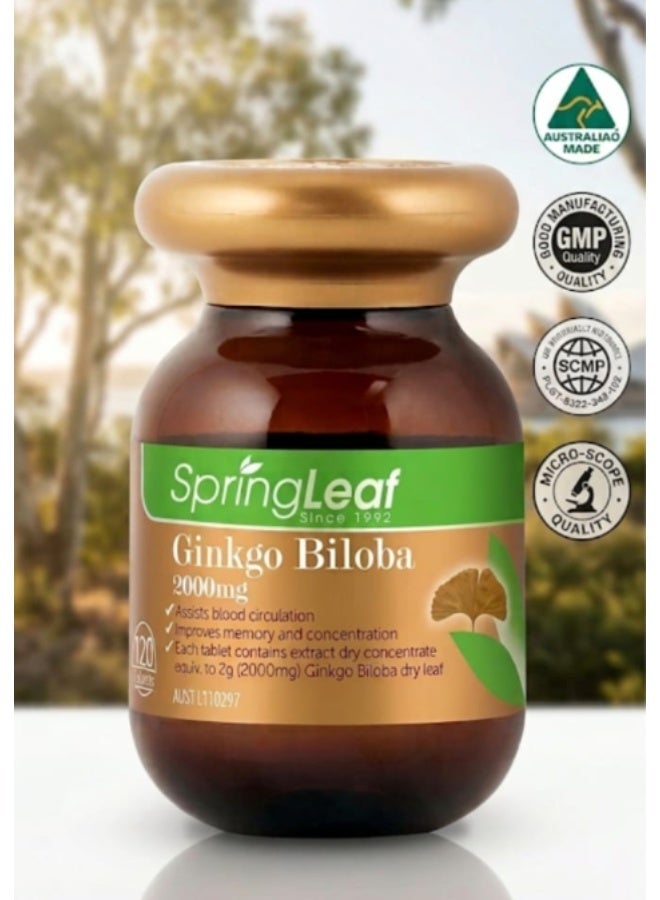 SPRING Ginkgo Biloba from Australia, 120 tablets for brain health and mental activity - Image 1