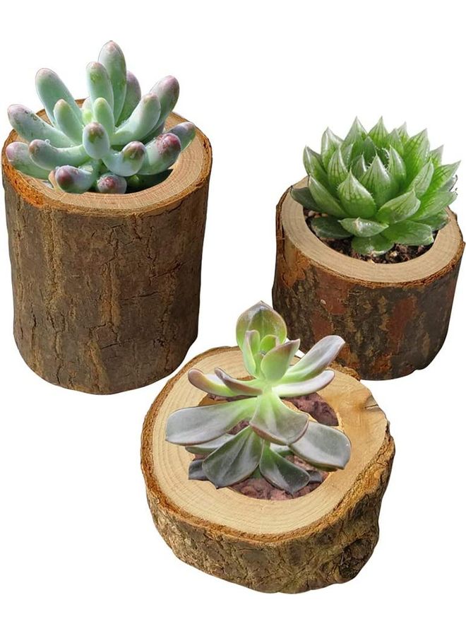 Loquat 3-Piece Tree Tealights Candlestick Holder Brown One Size  - Image 2