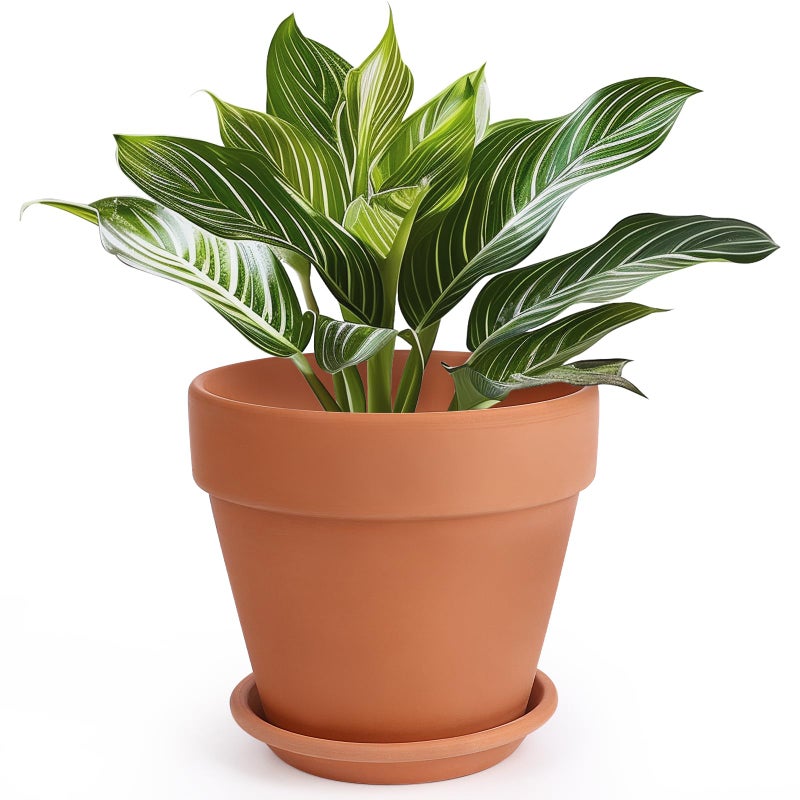INGOFIN Terracotta Pot with Saucer - 10 Inch Ceramic Clay Pot for Plants with Drainage Hole, Large Terra Cotta Flower Planter with Tray for Indoor Outdoor Plants - Image 1
