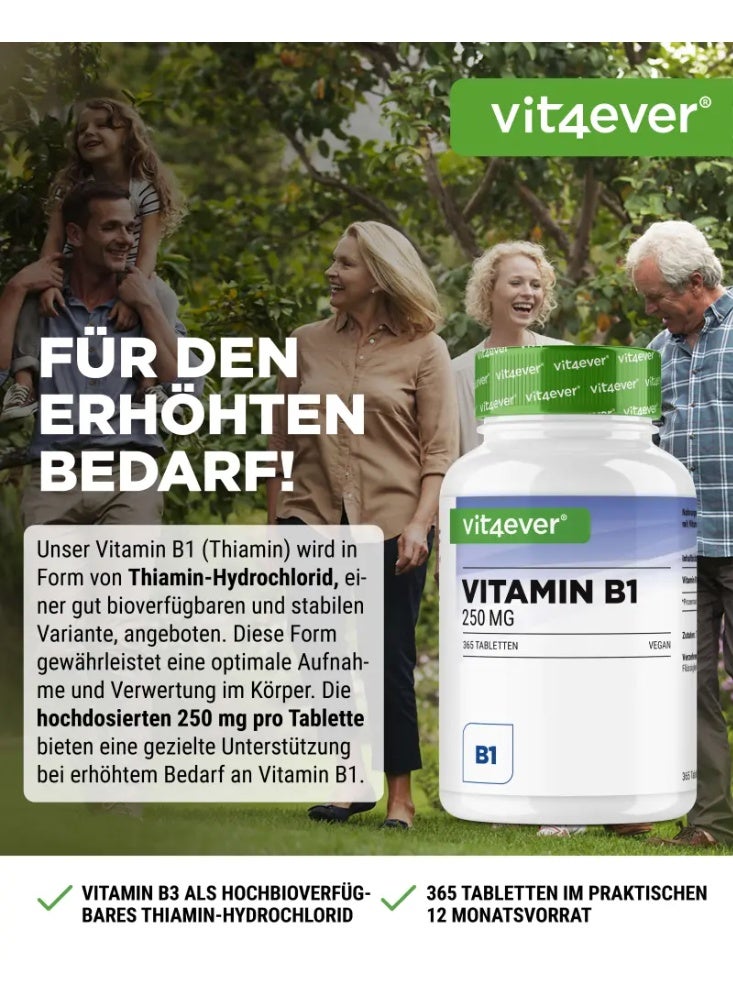 Vit4ever Vitamin B1 , to supports energy metabolism and Promotes nerve function , 365 tablets - Image 2