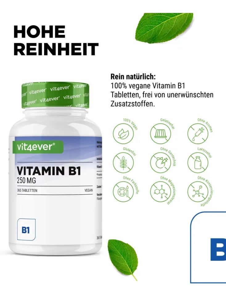 Vit4ever Vitamin B1 , to supports energy metabolism and Promotes nerve function , 365 tablets - Image 3