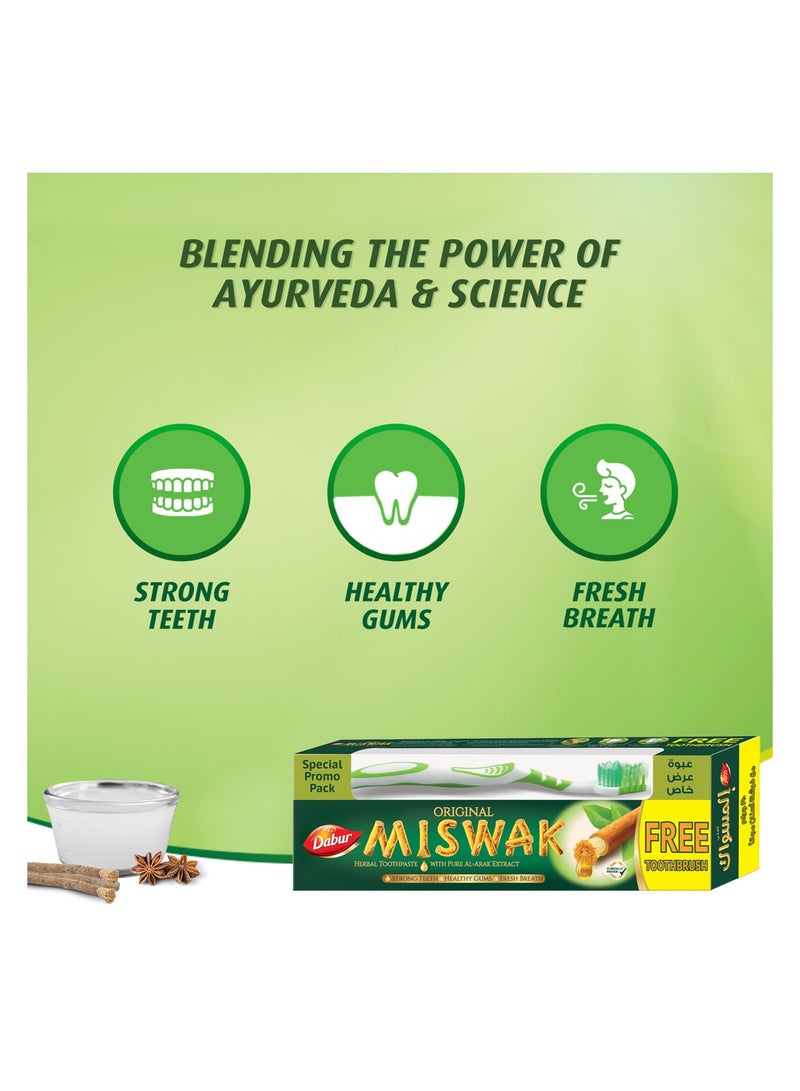 Dabur Original Miswak Toothpaste with Assorted color brush (3 x 190g) | Formulated With Pure Herbal Extracts Of Al Arak For Healthy Gums & Fresh Breath Pack of 3  - Image 4
