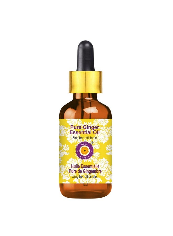 Deve Herbes Ginger Essential Oil (Zingiber officinale) with Glass Dropper Pure | Non-Sticky | Non-greasy | Lightweight | Men & Women | All Skin Types | Steam Distilled 15ml - Image 1
