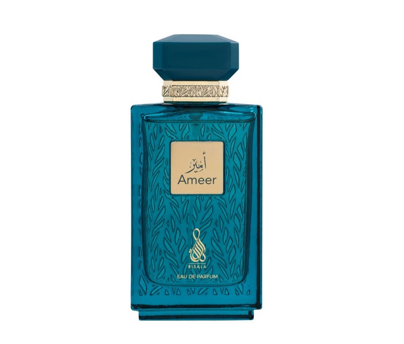 رسالة عطر امير 100 مل للرجال - Image 1