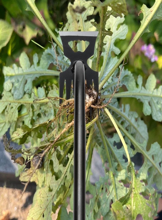 DMwespe Gardening Hand Weeder Tools, Weeding Artifact Uprooting Weeding Tool, Durable Manganese Steel Hand Weeder Tool, Manual Multifunctional Weeders Gardening Tools for Yard and Garden (6 Teethes) - Image 4