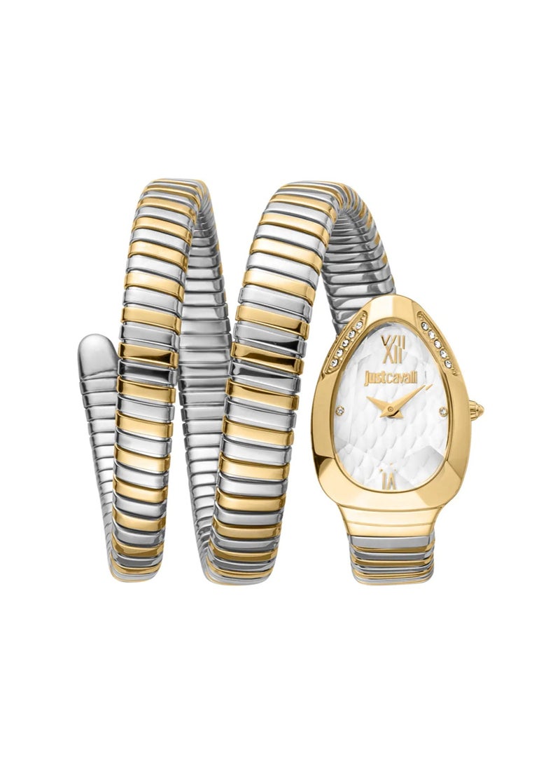 Just Cavalli ساعة نسائية أنالوج كوارتز ذهبية فضية من الفولاذ المقاوم للصدأ JC1L224M0065 - Image 1