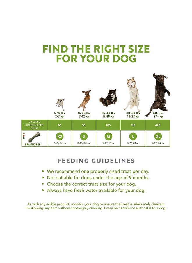 WHIMZEES - Large Brushzees, 12 Count, Natural Grain Free Dental Dog Treats2 - Image 1