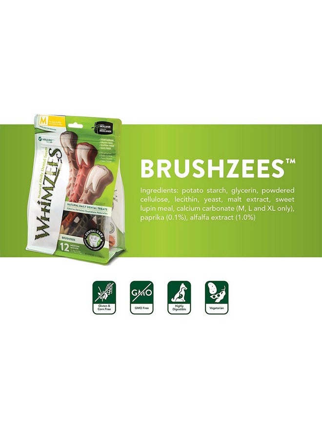 WHIMZEES - Large Brushzees, 12 Count, Natural Grain Free Dental Dog Treats2 - Image 1
