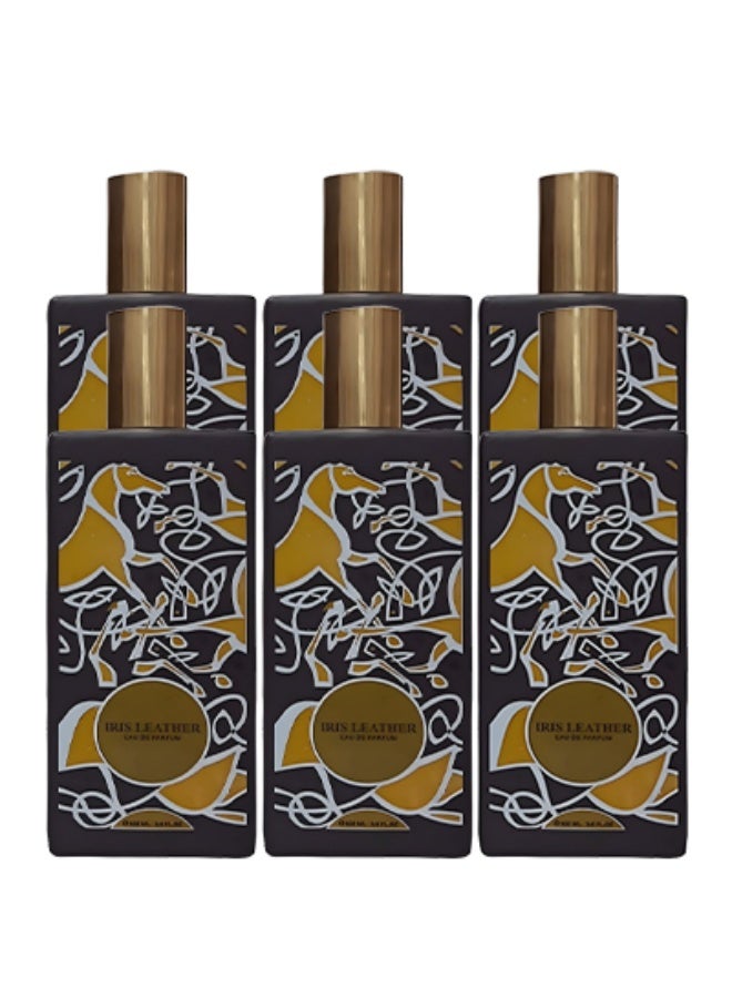 EMYC 6 Pieces Iris Leather Perfume For Unisex 100ml EDP - Image 1