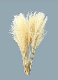 Yatai Natural Dried Pampas Grass Flowers Spray Preserved Flower For Decoration Wholesale Dried Feather Grass Dried Flowers Bouquet Wedding Party Vase Filler Décor Holiday Ornament Decoration (White) - pzsku/Z5EE3B6AFCAA01C8A2B1AZ/45/_/1716820253/a690b173-6cca-4416-9c80-07f30476a4a4