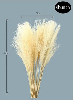 Yatai Natural Dried Pampas Grass Flowers Spray Preserved Flower For Decoration Wholesale Dried Feather Grass Dried Flowers Bouquet Wedding Party Vase Filler Décor Holiday Ornament Decoration (White) - pzsku/Z5EE3B6AFCAA01C8A2B1AZ/45/_/1716820254/d45f1698-3b89-42da-b462-d5de645901d2