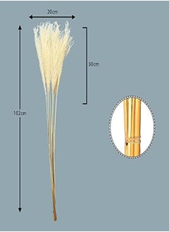 Yatai Natural Dried Pampas Grass Flowers Spray Preserved Flower For Decoration Wholesale Dried Feather Grass Dried Flowers Bouquet Wedding Party Vase Filler Décor Holiday Ornament Decoration (White) - pzsku/Z5EE3B6AFCAA01C8A2B1AZ/45/_/1716820255/b10ffbcf-88cb-4762-9086-b498bf99d827