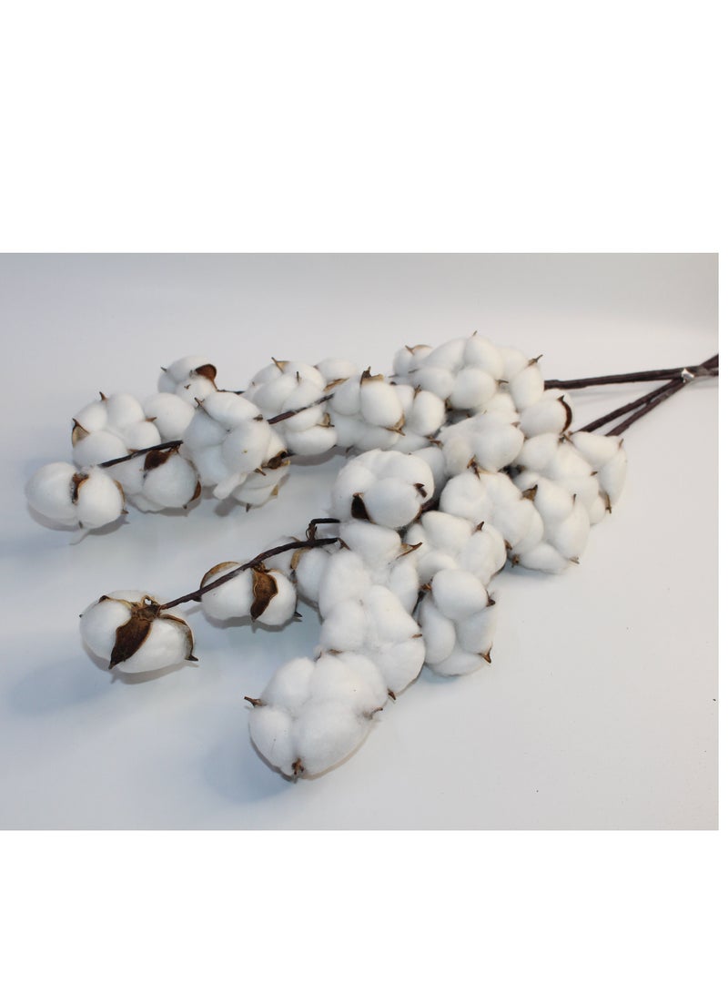 Generic 4 Stems Artificial Long Cotton Stick  - Image 1