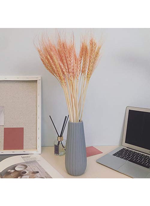 Dorakitten Dorakitten 25PCS Dried Wheat Sheaves Creative Lifelike Dried Wheat Stalks Dried Flower Dry Grass Bouquet Wedding Home Decoration  - Image 2