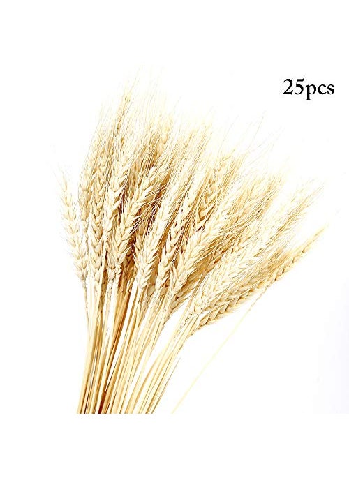 Dorakitten Dorakitten 25PCS Dried Wheat Sheaves Creative Lifelike Dried Wheat Stalks Dried Flower Dry Grass Bouquet Wedding Home Decoration  - Image 1