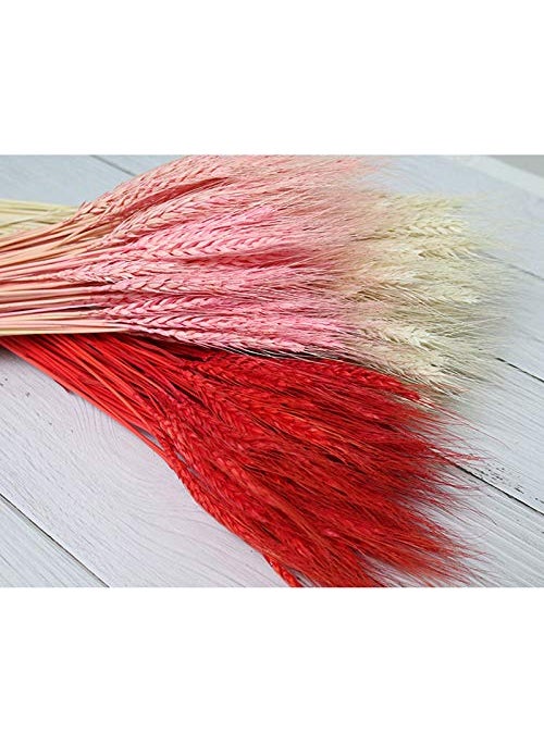 Dorakitten Dorakitten 25PCS Dried Wheat Sheaves Creative Lifelike Dried Wheat Stalks Dried Flower Dry Grass Bouquet Wedding Home Decoration  - Image 5