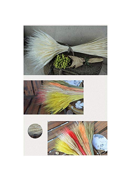 Dorakitten Dorakitten 25PCS Dried Wheat Sheaves Creative Lifelike Dried Wheat Stalks Dried Flower Dry Grass Bouquet Wedding Home Decoration  - Image 3
