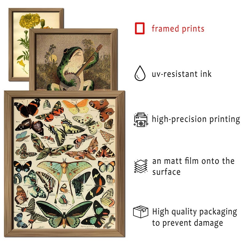 ANERZA 16 PCS Framed Vintage Wall Art Decor, Botanical Cottagecore Wall Prints for Bedroom, Gallery Wall Frame Set, Farmhouse Posters for Living Room Aesthetic, Rustic Dorm Home Collage Kit - Image 3