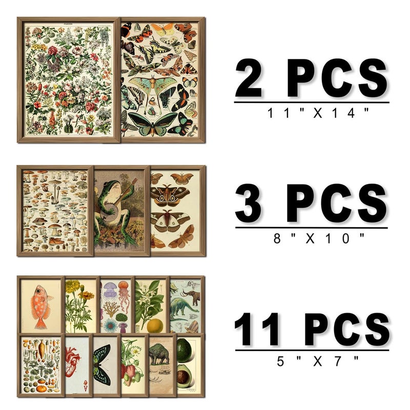 ANERZA 16 PCS Framed Vintage Wall Art Decor, Botanical Cottagecore Wall Prints for Bedroom, Gallery Wall Frame Set, Farmhouse Posters for Living Room Aesthetic, Rustic Dorm Home Collage Kit - Image 2