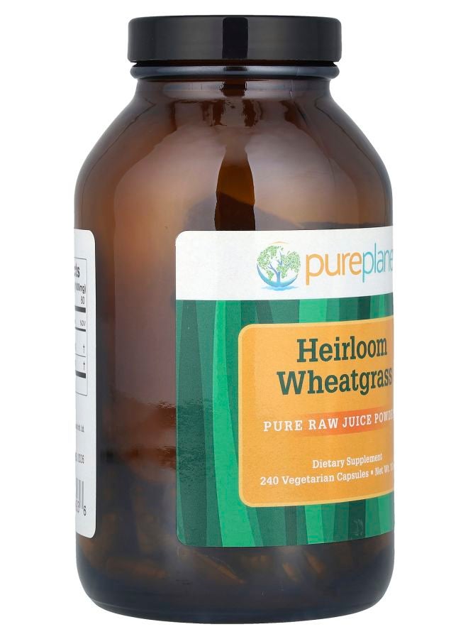 pure planet Heirloom Wheatgrass 240 Vegetarian Capsules - Image 2