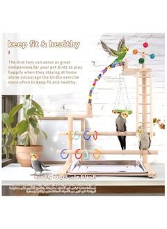XICEN Bird Playground, Perch Stand Parrot Playstand Play Gym with 2 Perches Stand Windmill Toys, Playpen for Parakeet Conure Cockatiel Lovebird Budgie Caique, Exercise Playgym with Feeding Cups  - Image 4