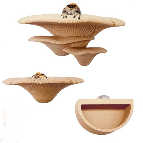 Okueejur 2 Pack Jumping Spider Accessories Mushroom Ledges & 1 Pack Water Bowl with Magnets for Spoods Jumping Spiders Magnetic Ledge Ladder Pet Spider Accessories (Not Included The Terrarium) (beige) - Image 1