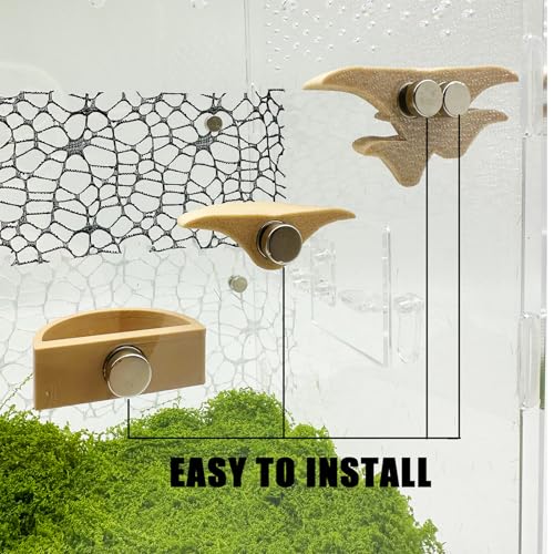 Okueejur 2 Pack Jumping Spider Accessories Mushroom Ledges & 1 Pack Water Bowl with Magnets for Spoods Jumping Spiders Magnetic Ledge Ladder Pet Spider Accessories (Not Included The Terrarium) (beige) - Image 3