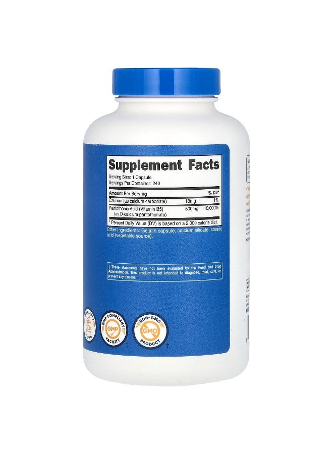Nutricost, Pantothenic Acid, 500 mg, 240 Capsules (Packaging may vary) - Image 2