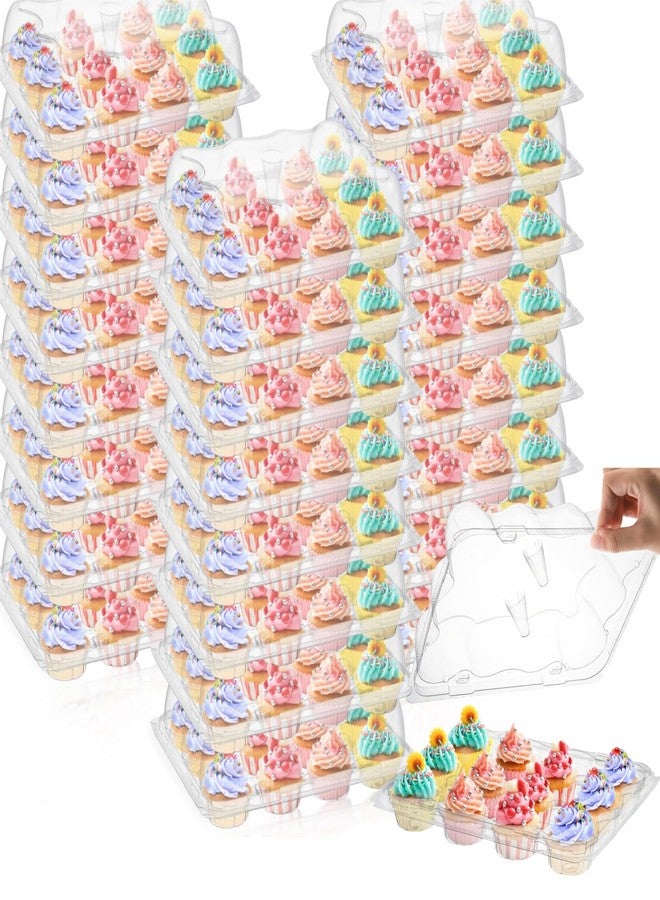 AVLA 24 Pack Mini Cupcake Containers, 12-Count Plastic Cupcake Carrier, Stackable Cupcake Box with Detachable Secure High Top Lid, Disposable Cupcake Holder Tray, Muffin Packaging Transporter To Go - Image 1
