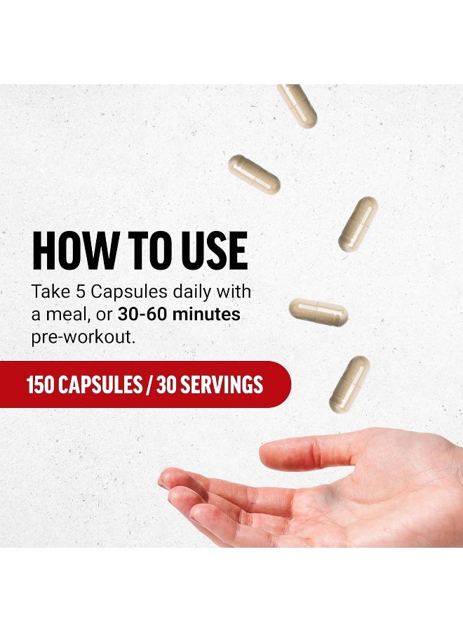 Force Factor مكمل L-أرجينين أكسيد النيتريك مع بيوبيرين - Image 4