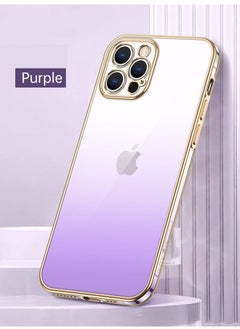 Purple/Gold