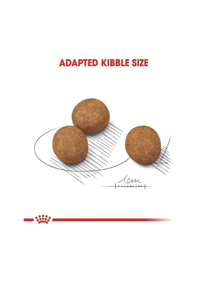 Royal Canin Maxi Puppy Dry Dog Food, 4kg - Image 2