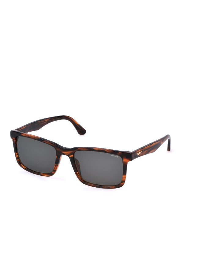 POLICE Full Rim Square Sunglasses SPLP21M - Image 1