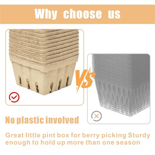 EXJEXJ 30 Pcs Natural Pulp Fiber Berry Basket Small Vented Berry Picking Basket Small Container Holder for Fruits Vegetable Farmer Market Grocery (30) - Image 5