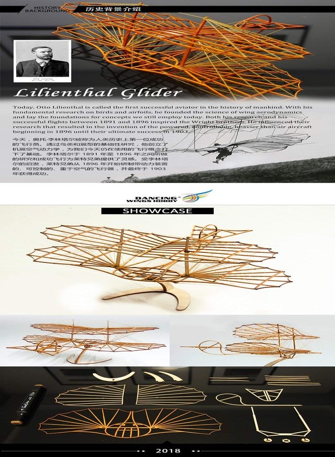 Viloga 3D Wooden Puzzles Airplane DIY Otto Lilienthal Glider, Laser Cut Balsa Model Airplane Kits to Build for Adults, Perfect Wood Models Plane for Men Birthday Gift Home Decoration - Image 4