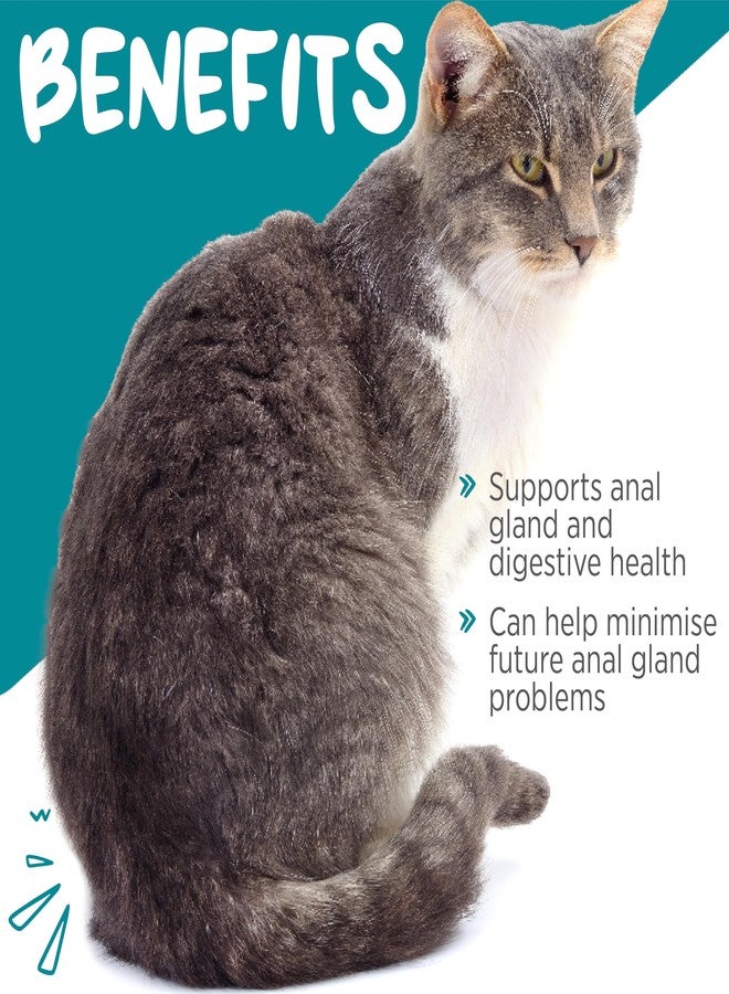 maxxipaws ماكسي باوز ماكسي سكوت - مكمل غذائي بودرة لدعم صحة الغدد الشرجية والجهاز الهضمي للقطط، 3.2 أونصة - Image 2