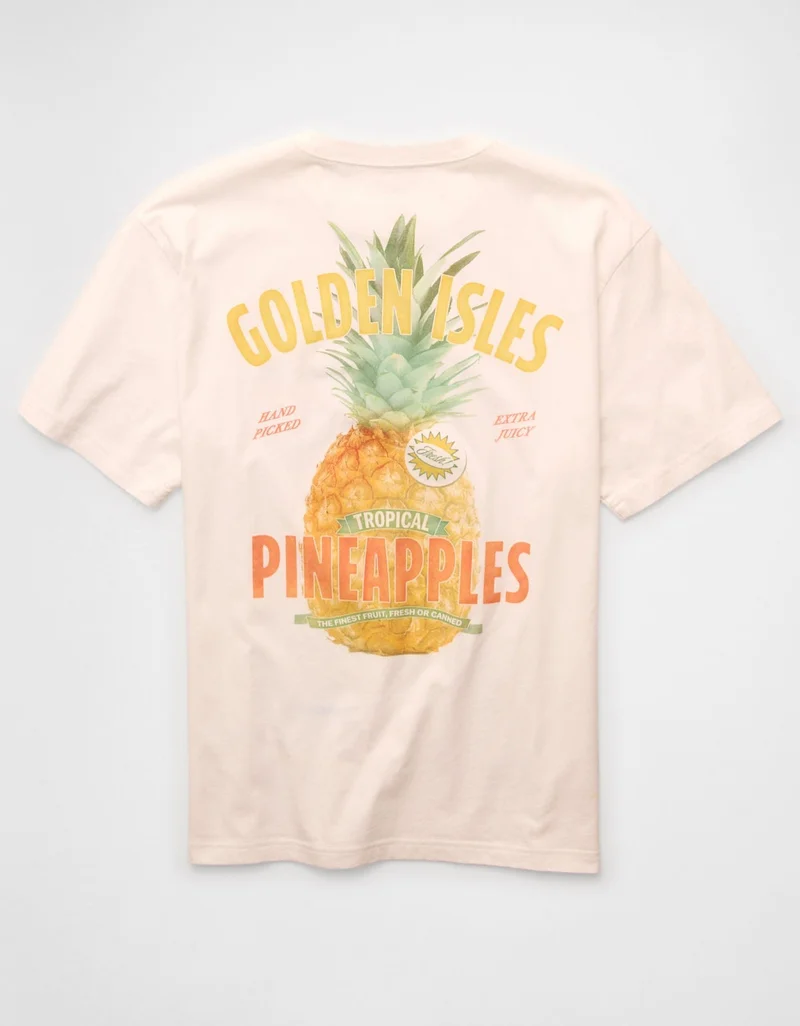 American Eagle  AE Standard Fit Destination Graphic T-Shirt  | Best Price UAE