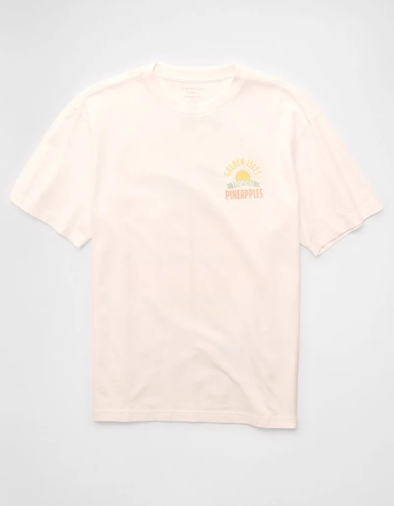 American Eagle  AE Standard Fit Destination Graphic T-Shirt  | Best Price UAE
