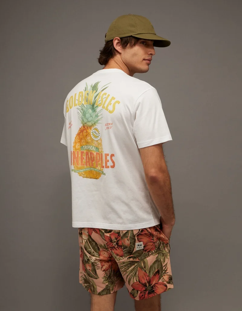 American Eagle  AE Standard Fit Destination Graphic T-Shirt  | Best Price UAE